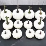 Halloween_Doodle_Pumpkin_-_-_tag1_-4254379 Halloween Doodle Pumpkin tag1