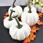 Halloween_Doodle_Pumpkin_-_-_tag1_-4254395 Halloween Doodle Pumpkin tag1