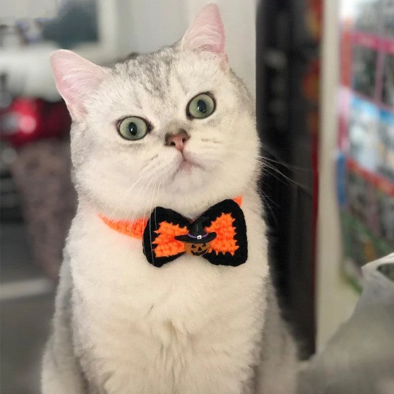 Halloween Pet Jewelry Hat Headgear -  - #tag1#