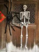 Halloween Plastic Skeleton Skeleton Simulation Human Body tag1