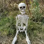 Halloween Plastic Skeleton Skeleton Simulation Human Body tag1