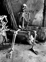 Halloween Plastic Skeleton Skeleton Simulation Human Body tag1