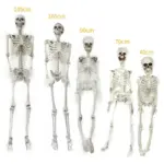 Halloween Plastic Skeleton Skeleton Simulation Human Body tag1