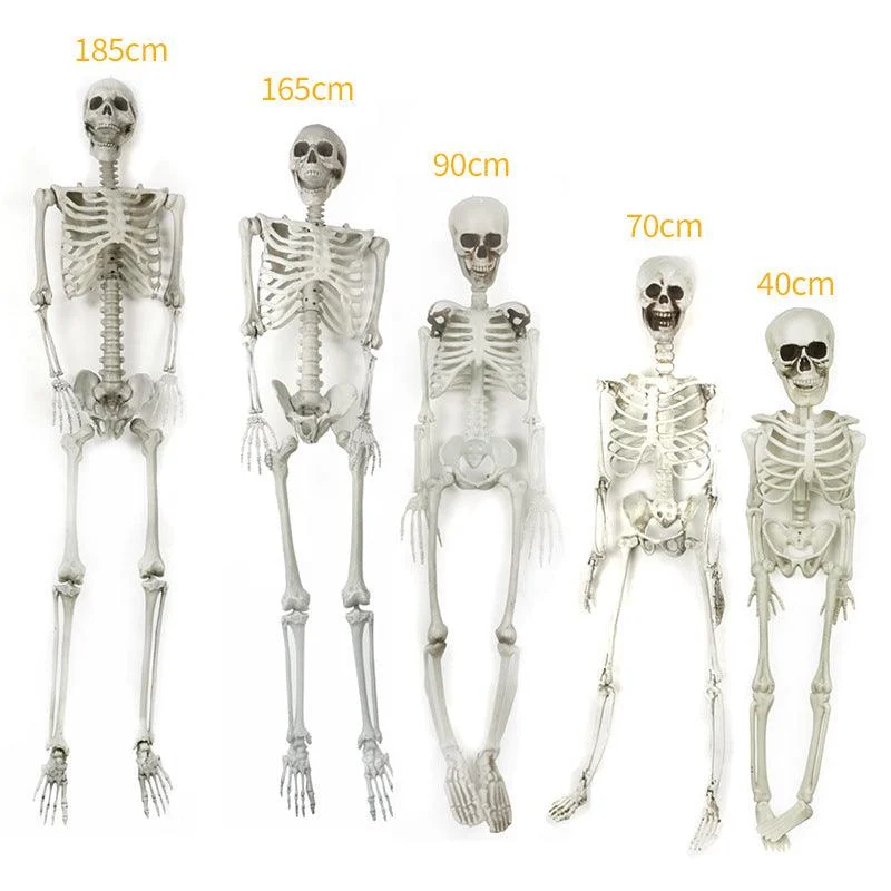 Halloween Plastic Skeleton Skeleton Simulation Human Body -  - #tag1#