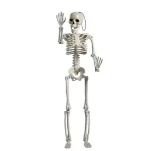 Halloween Plastic Skull Skeleton Model Scene Arrangement