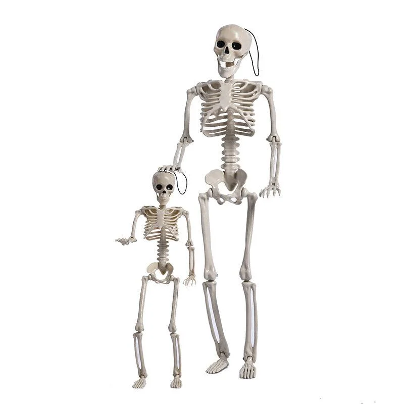 Halloween Plastic Skull Skeleton Model Scene Arrangement -  - #tag1#