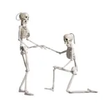 Halloween Plastic Skull Skeleton Model Scene Arrangement tag1