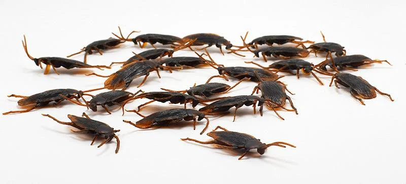 Halloween Simulation Cockroach Tidy Funny Disgusting Scary Toys -  - #tag1#
