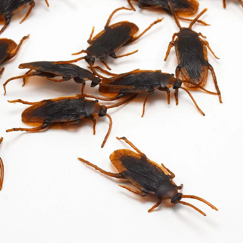 Halloween Simulation Cockroach Tidy Funny Disgusting Scary Toys -  - #tag1#