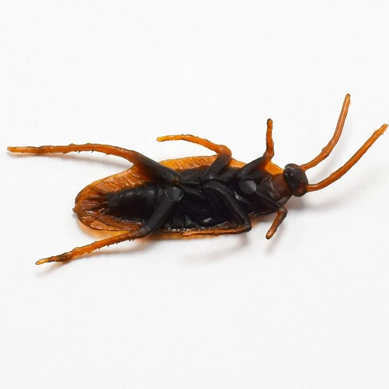 Halloween Simulation Cockroach Tidy Funny Disgusting Scary Toys -  - #tag1#