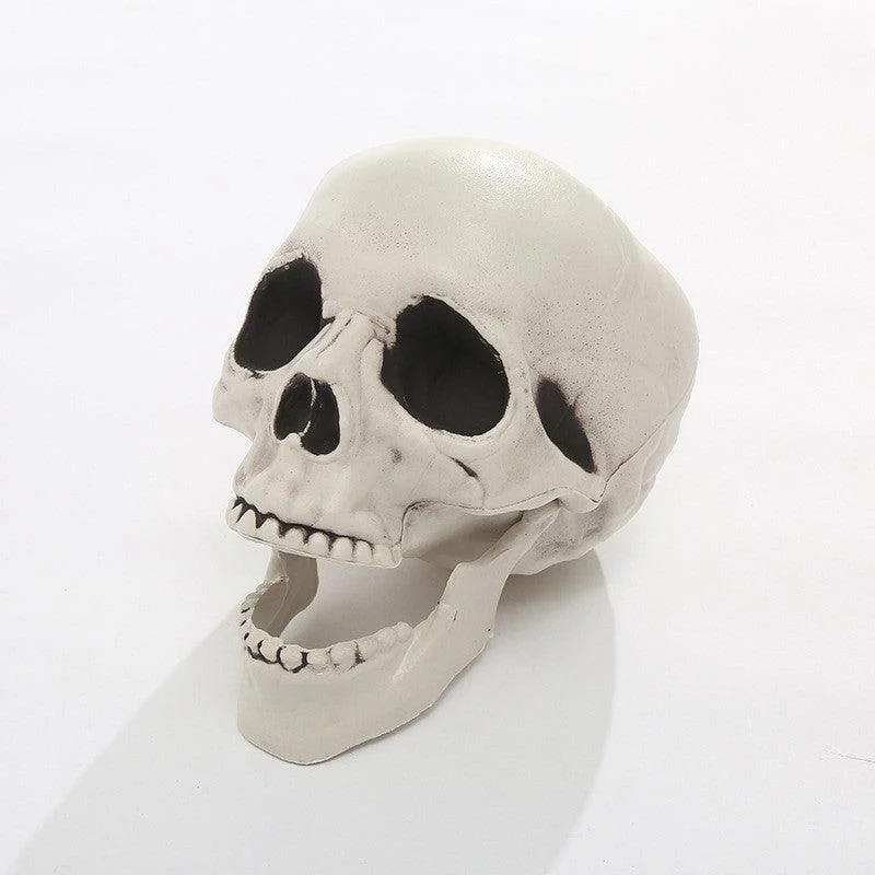 Halloween Simulation Human Plastic Skull Skeleton -  - #tag1#