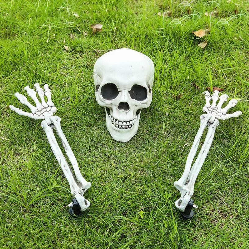 Halloween Simulation Human Plastic Skull Skeleton -  - #tag1#