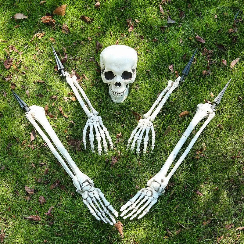 Halloween Simulation Human Plastic Skull Skeleton -  - #tag1#