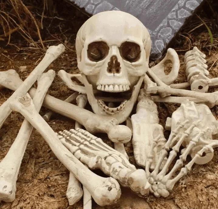 Halloween Skeleton Bones 28pcs -  - #tag1#