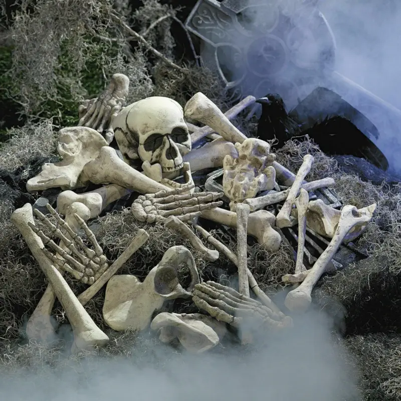Halloween Skeleton Bones 28pcs tag1