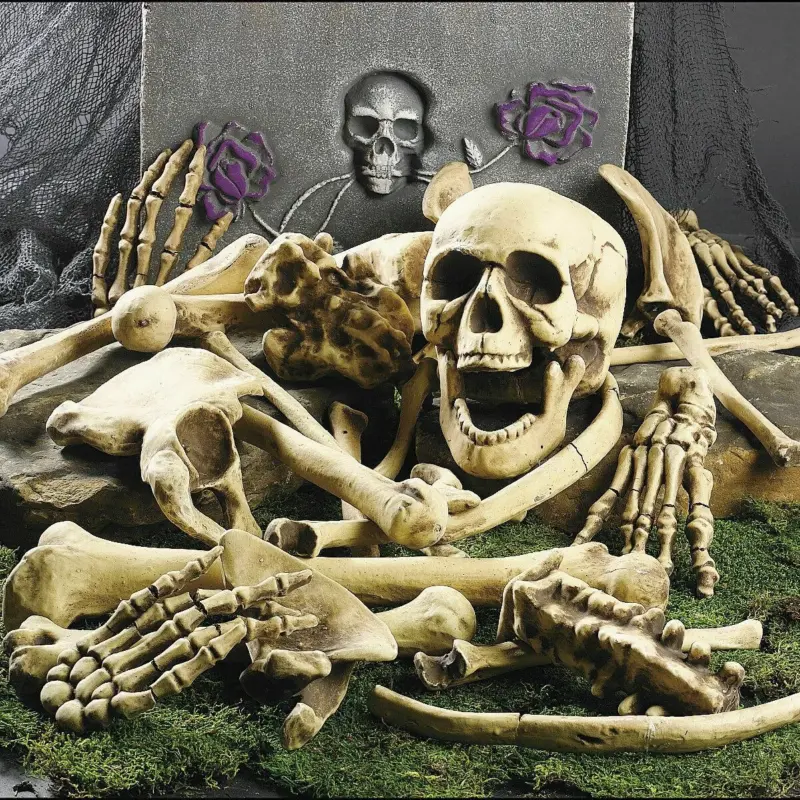 Halloween Skeleton Bones 28pcs tag1