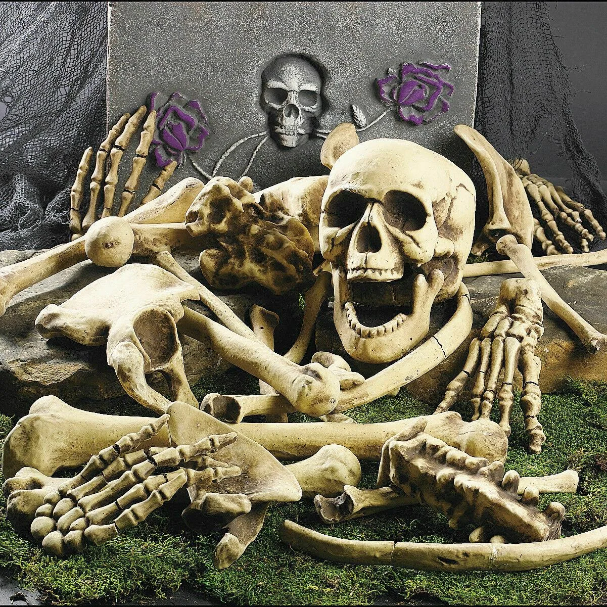 Halloween Skeleton Bones 28pcs -  - #tag1#