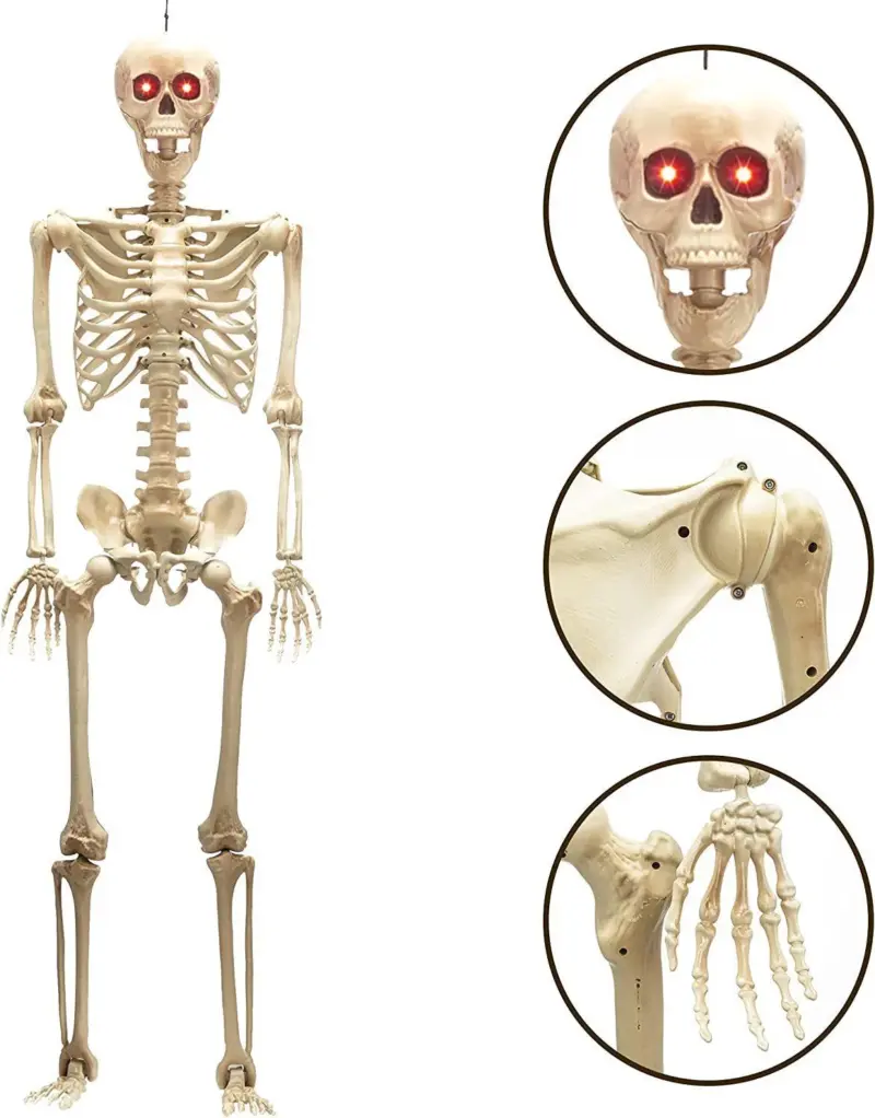 Halloween Skull Fish skeleton Hanger 80cm Simulation tag1
