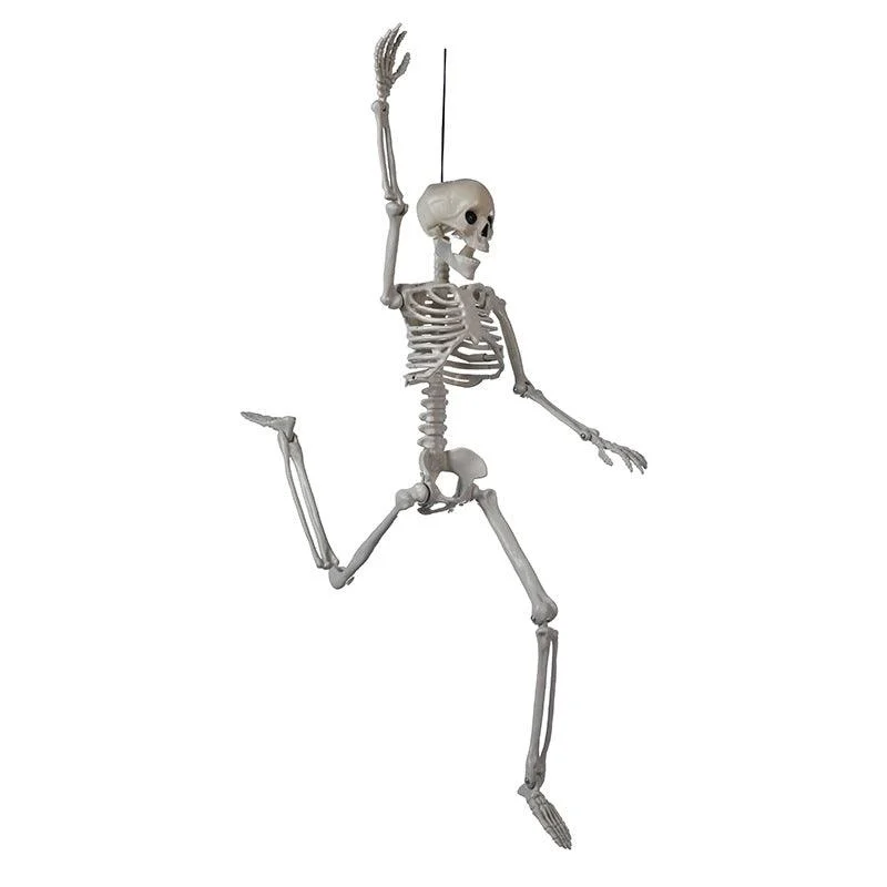 Halloween Skull Fish-skeleton Hanger 80cm Simulation -  - #tag1#