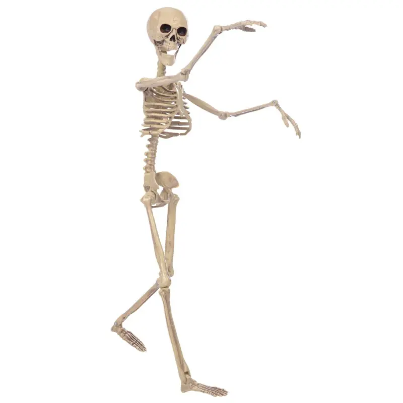 Halloween Skull Fish skeleton Hanger 80cm Simulation tag1