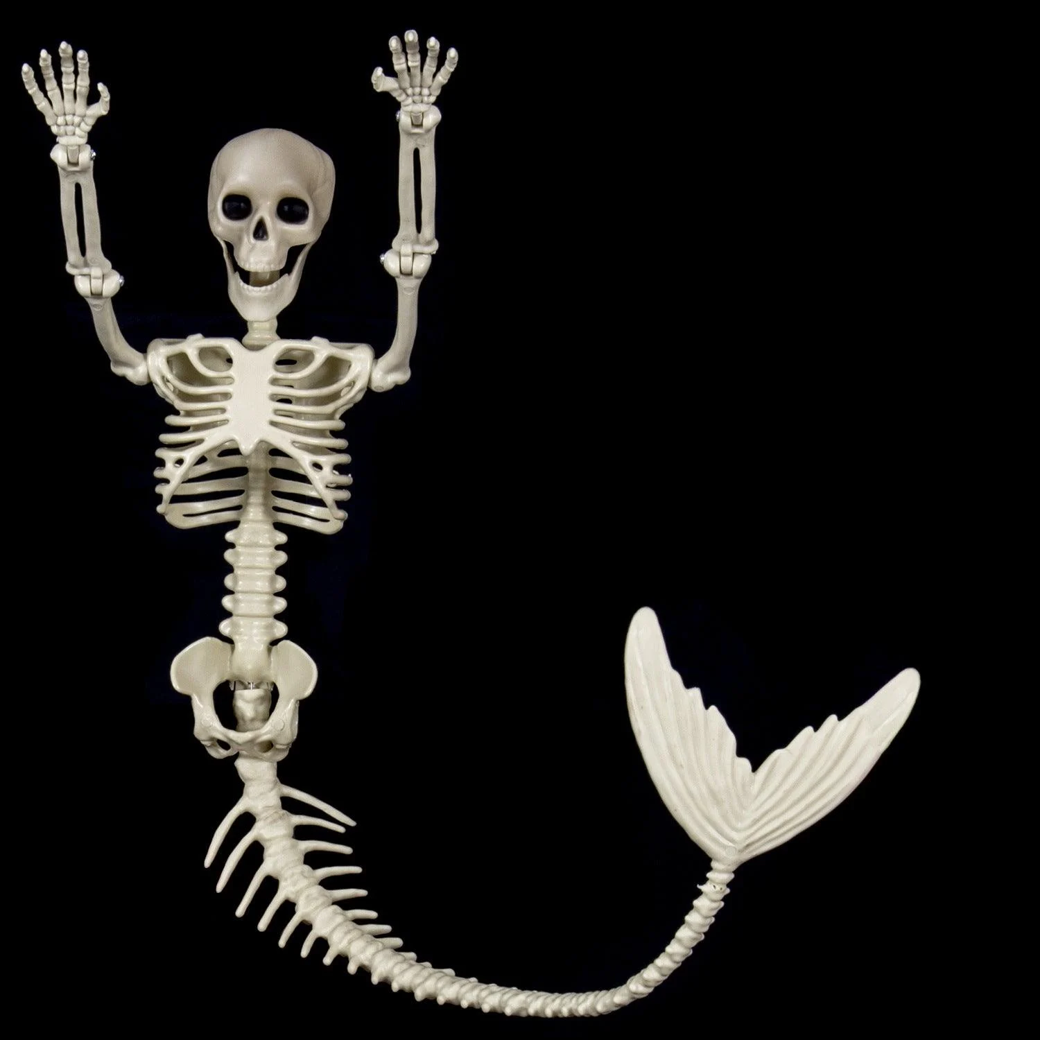 Halloween Skull Fish-skeleton Hanger Fixed Posture Simulation Chamber Props -  - #tag1#