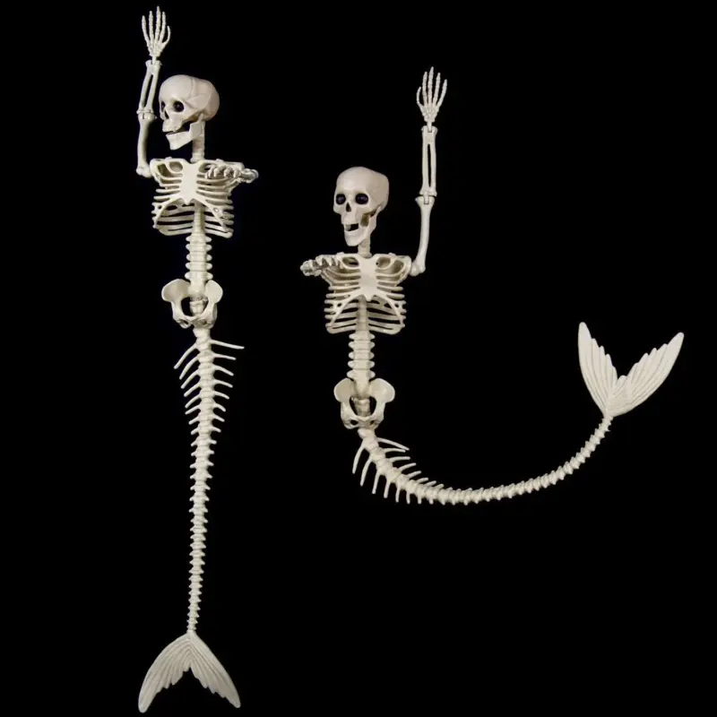 Halloween Skull Fish skeleton Hanger Fixed Posture Simulation Chamber Props tag1