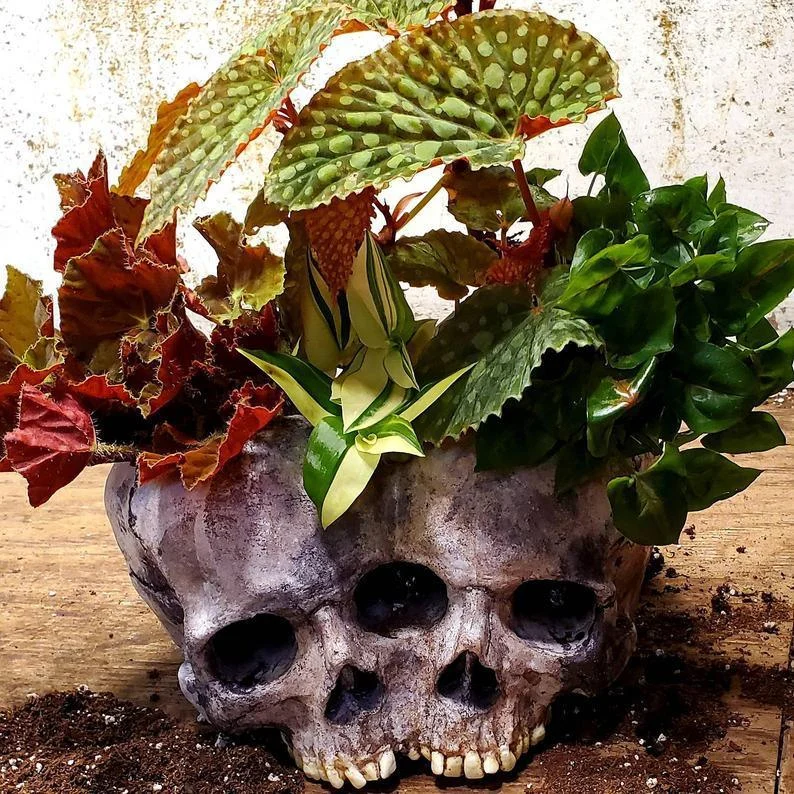 Halloween Skull Resin Flower Pot Outdoor Study -  - #tag1#