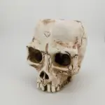 Halloween Skull Resin Flower Pot Outdoor Study tag1