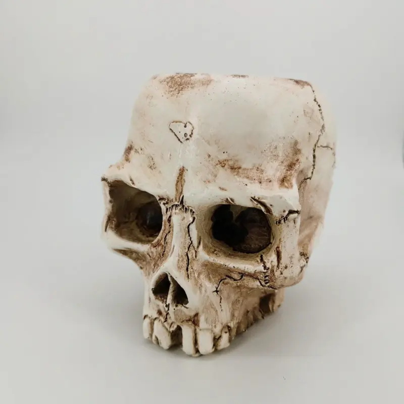 Halloween Skull Resin Flower Pot Outdoor Study tag1