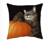 Halloween With Pumpkin Peach Skin Plush Pillow Cover tag1