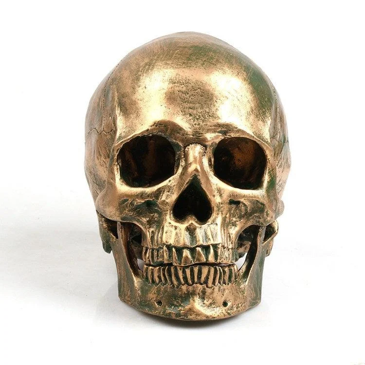 Halloween resin skull -  - #tag1#