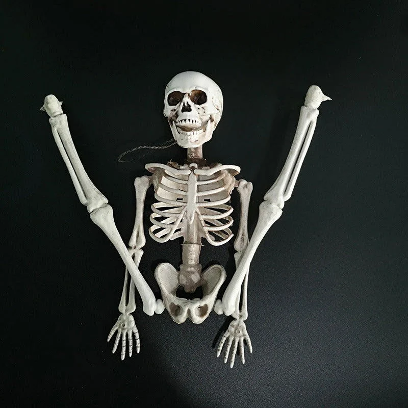 Halloween skeleton skeleton -  - #tag1#