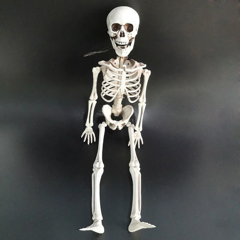 Halloween skeleton skeleton -  - #tag1#