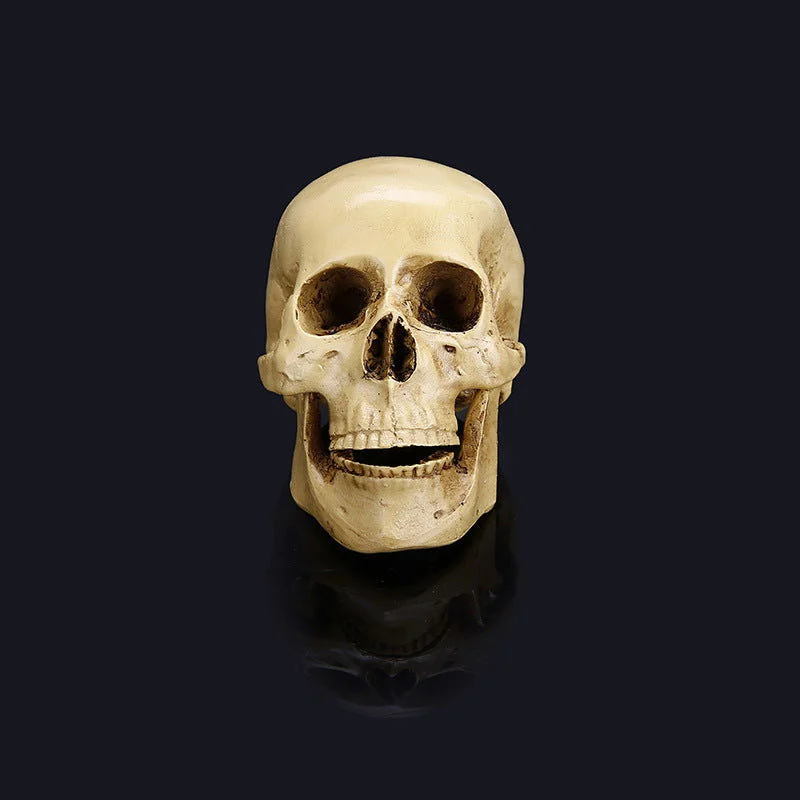 Halloween skull model -  - #tag1#