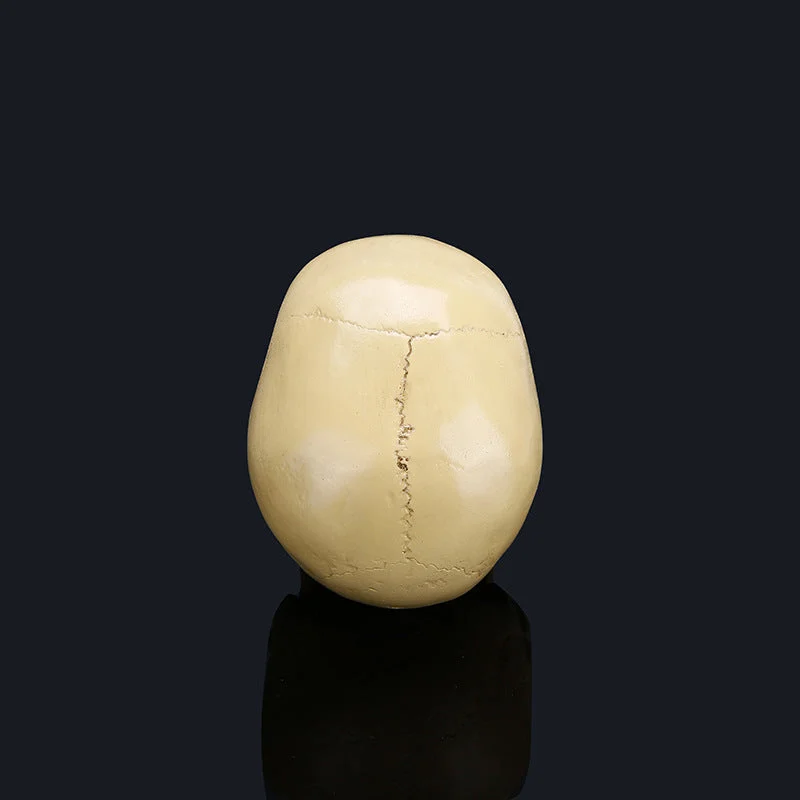 Halloween skull model -  - #tag1#