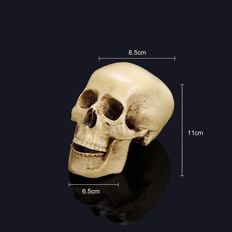 Halloween skull model -  - #tag1#