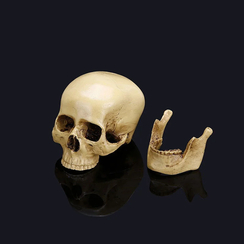 Halloween skull model -  - #tag1#