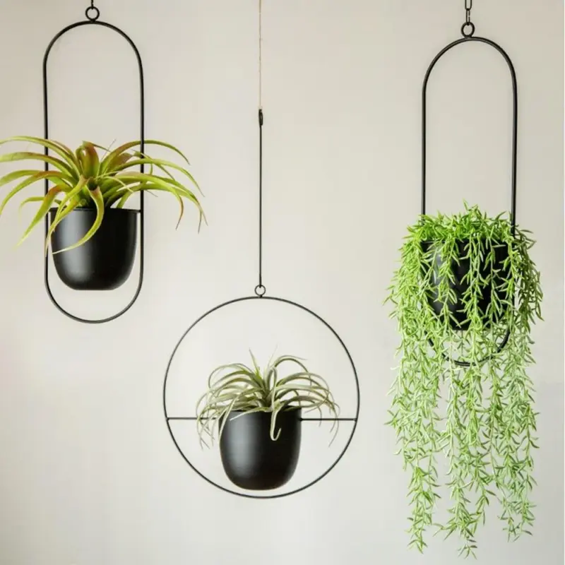 Halo_Hanging_Plant_Pot_-_-4198949 Halo Hanging Plant Pot