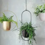 Halo_Hanging_Plant_Pot_-_-4198954 Halo Hanging Plant Pot
