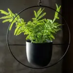 Halo_Hanging_Plant_Pot_-_-4198958 Halo Hanging Plant Pot