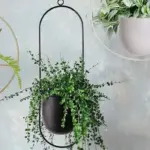 Halo_Hanging_Plant_Pot_-_-4198969 Halo Hanging Plant Pot