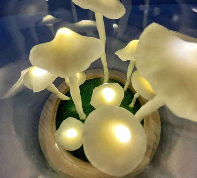 Handcrafted Mushroom Lamp DIY Kit -