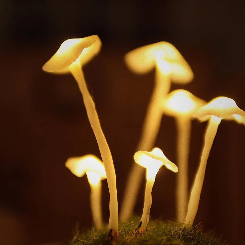 Handmade Mushroom Led Night Lamp -
