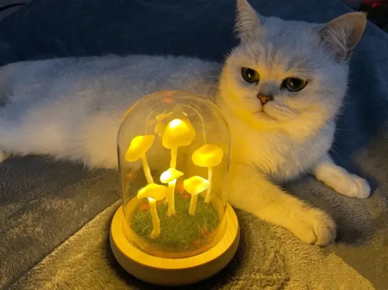 Handmade Mushroom Led Night Lamp
