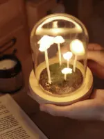 Handmade_Mushroom_Led_Night_Lamp_-_-4200421 Handmade Mushroom Led Night Lamp