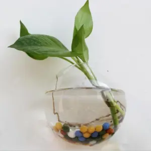 Hanging Glass Planter Terrarium