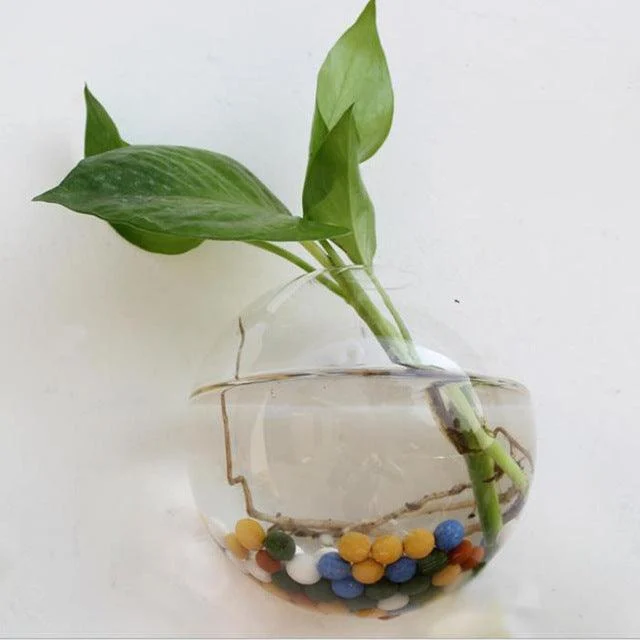 Hanging Glass Planter Terrarium - Homeko