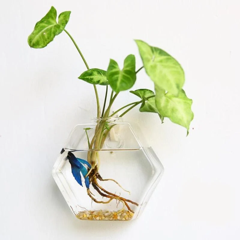 Hanging Glass Planter Terrarium - Homeko