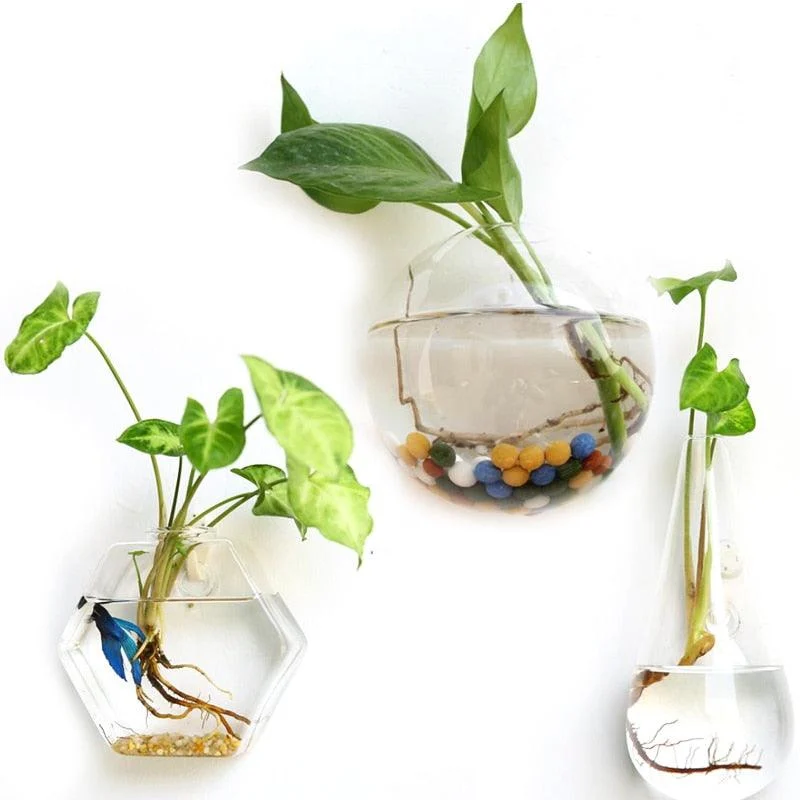 Hanging Glass Planter Terrarium - Homeko