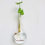 HangingGlassPlanterTerrarium-Homeko4 HangingGlassPlanterTerrarium Homeko4